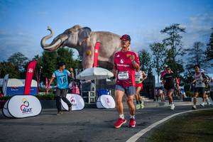 BIB: 
                            <button type="button" onclick="openModal(26541930)" class="btn btn-primary btn-sm float-right btn-popup" data-toggle="modal" data-target=".modal-high-quality">
                        <i class="fas fa-shopping-cart"></i> Add to Cart
                    </button>
                                            <button type="button" onclick="isThisMe(26541930, true)" class="btn btn-success btn-sm float-right btn-popup btn-isme hidden" data-toggle="tooltip" data-placement="bottom" title="นี่คือรูปของคุณใช่ไหม คลิกที่นี่เพื่อเอาเข้าอัลบั้ม">
                        <i class="fas fa-plus"></i> Add to album
                    </button>
                    <button type="button" onclick="isThisMe(26541930, false)" class="btn btn-warning btn-sm float-right btn-popup btn-isnotme hidden">
                        <i class="fas fa-ban"></i> Remove from album
                    </button>